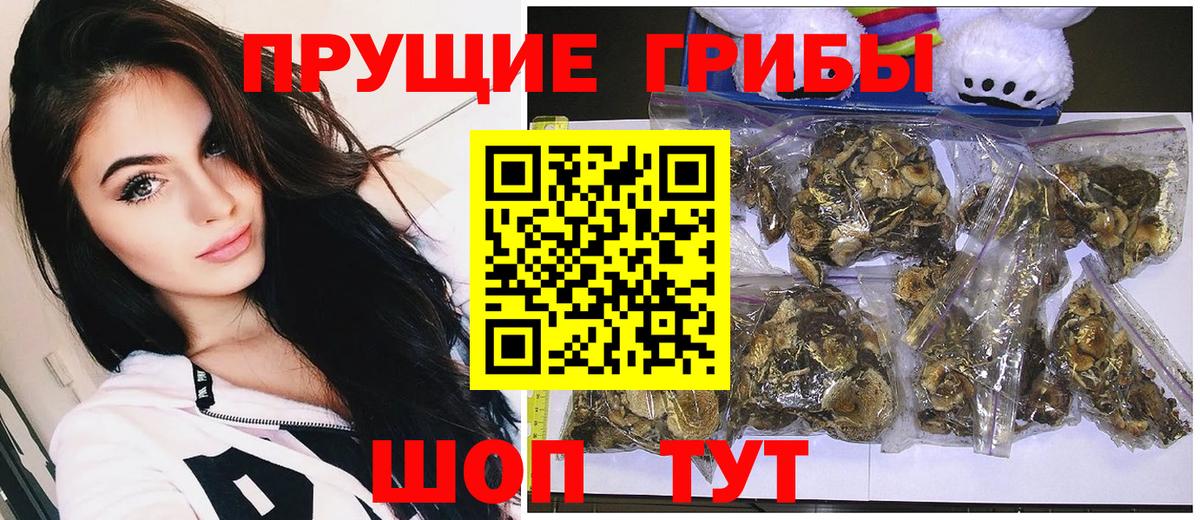 Галлюциногенные грибы GOLDEN TEACHER  Псилоцибиновые грибы Magic Shrooms  Щёлково  Вход с VPN 