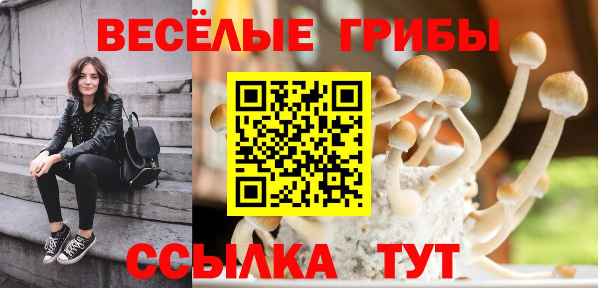 Бошки Шишки  Гашиш  Вход с VPN  Щёлково  Меф  